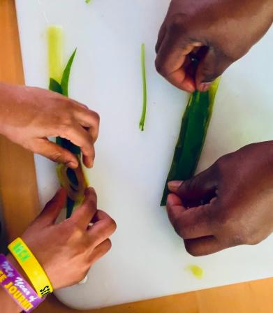 WhatsApp Image 2025-12-14 at 18.31.26 (1)